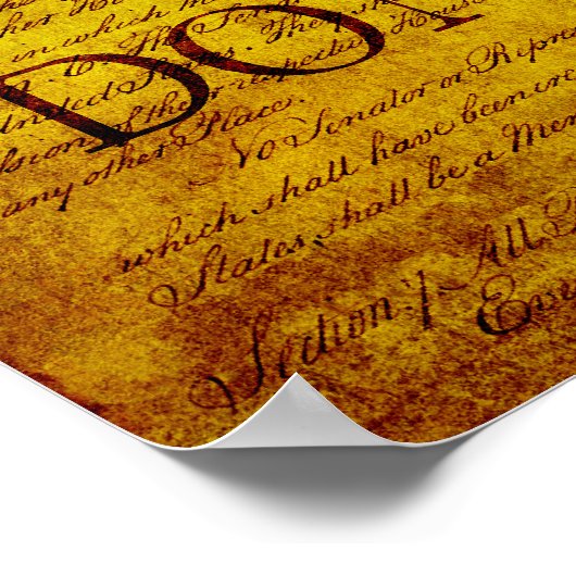 Poster Drapeau de Gadsden (Coin)