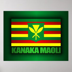 Poster Drapeau de Kanaka Maoli