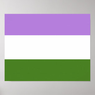 Poster Drapeau de la fierté de genre