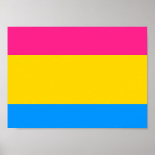 Poster Drapeau de la fierté Pansexual