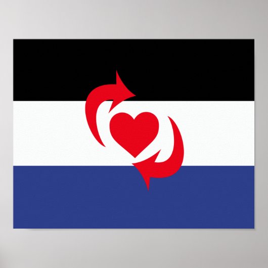 Poster Drapeau de la fierté Switch (Devant)