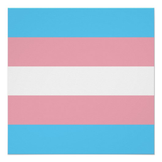 Poster Drapeau de la fierté transgenre - LGBT Rainbow (Devant)
