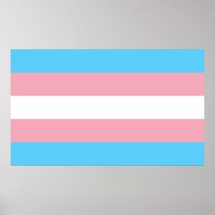 Poster Drapeau de la fierté transgenre - LGBT Rainbow