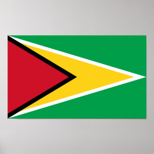 Poster Drapeau de la Guyane