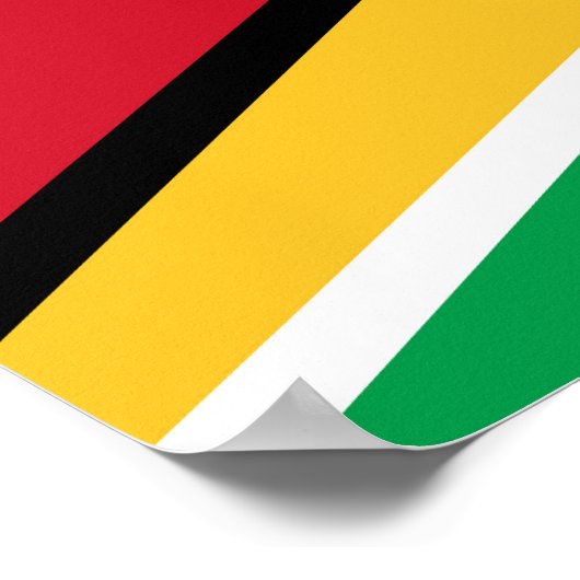 Poster Drapeau de la Guyane (Coin)