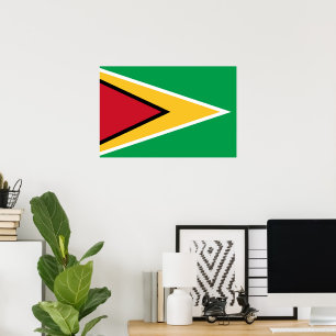 Poster Drapeau de la Guyane