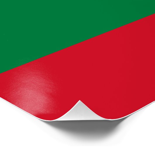 Poster Drapeau de la Mauritanie (Coin)