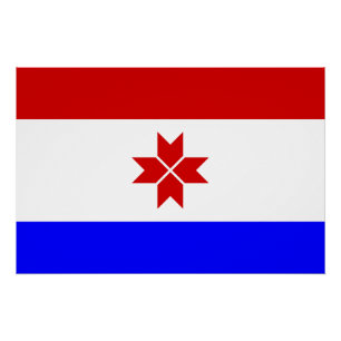 Poster Drapeau de la Mordovie