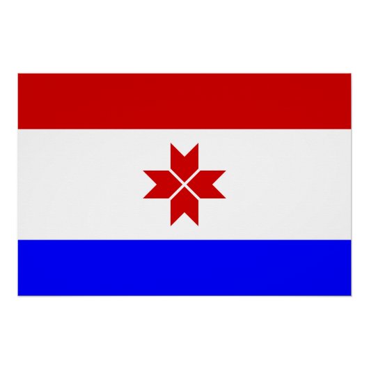 Poster Drapeau de la Mordovie (Devant)