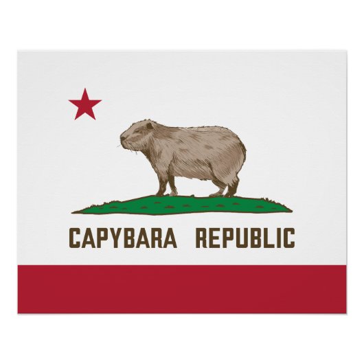 Poster Drapeau de la République de Capybara (Devant)