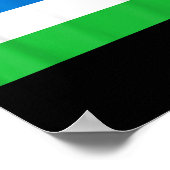 Poster Drapeau De La République De Molossia (Coin)
