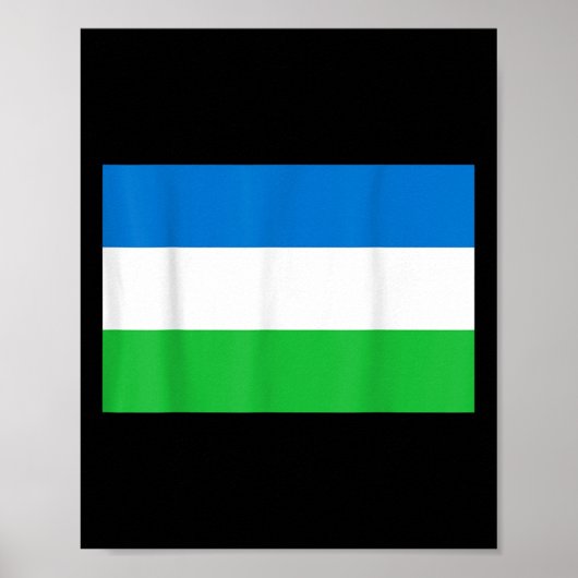 Poster Drapeau De La République De Molossia (Devant)