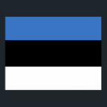 Poster Drapeau de l'Estonie<br><div class="desc">drapeau estonien,  estonie,  Tallinn,  La Valette,  crête,  Europe,  Finlande,  drapeau,  baltique,  rustique,  voyage,  aventure,  culture,  via,  animal,  anime,  vintage,  explorer,  Mère Terre,  environnementaliste,  conservation,  faune, </div>