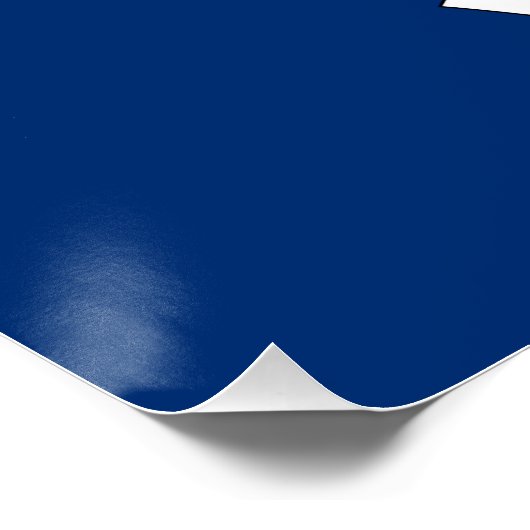 Poster Drapeau de l'État de New York (Coin)