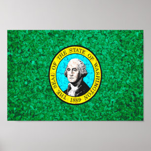 Poster Drapeau de l'État de Washington