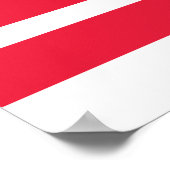 Poster Drapeau de l'État de Washington DC (Coin)