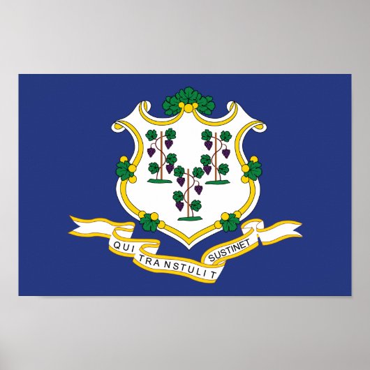 Poster Drapeau de l'État du Connecticut (Devant)