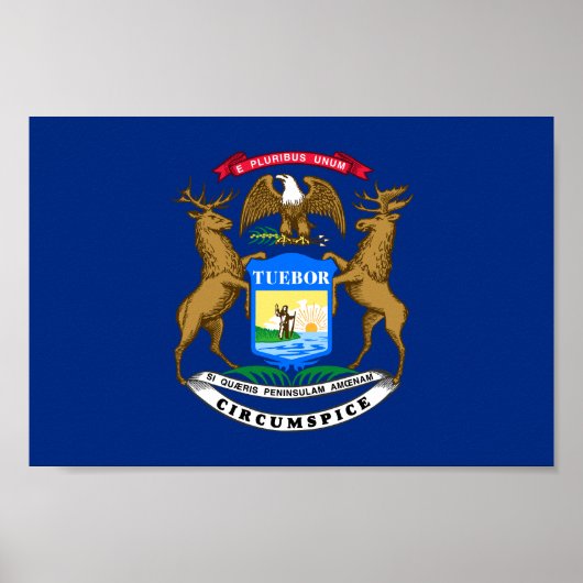 Poster Drapeau de l'État du Michigan (Devant)