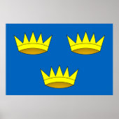 Poster Drapeau de Munster, Irlande (Devant)