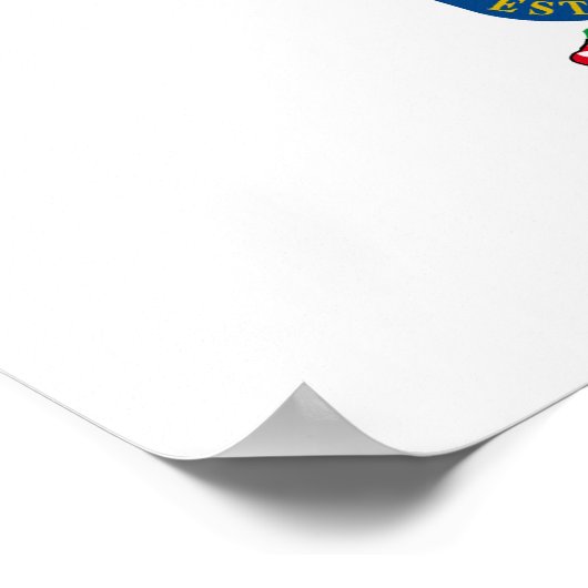 Poster Drapeau de Nuevo_Leon (Coin)