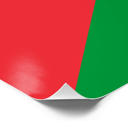 Poster Drapeau de Palestine (Coin)
