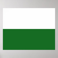 Drapeau de Saxe (État allemand)