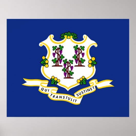Poster Drapeau d'État du Connecticut (Devant)