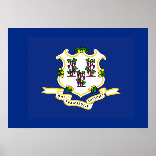 Poster Drapeau d'État du Connecticut (Devant)