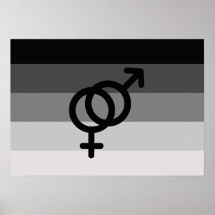 Poster DRAPEAU DROIT ORIGINAL AVEC SYMBOLE -.png