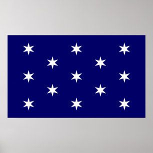 Poster Drapeau du commandant en chef de George Washington