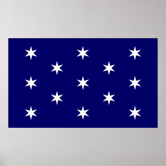Poster Drapeau du commandant en chef de George Washington (Devant)