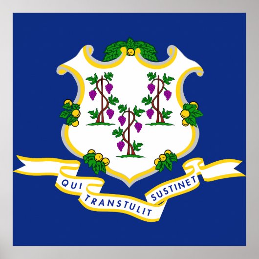 Poster Drapeau du Connecticut (Devant)