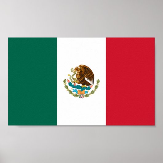 Poster Drapeau du Mexique (Devant)