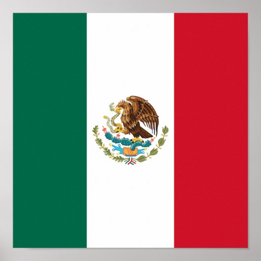 Poster Drapeau du Mexique Drapeau national Mexicains (Devant)