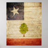 Poster Drapeau du Mississippi 1861 (Devant)