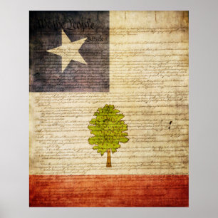 Poster Drapeau du Mississippi 1861