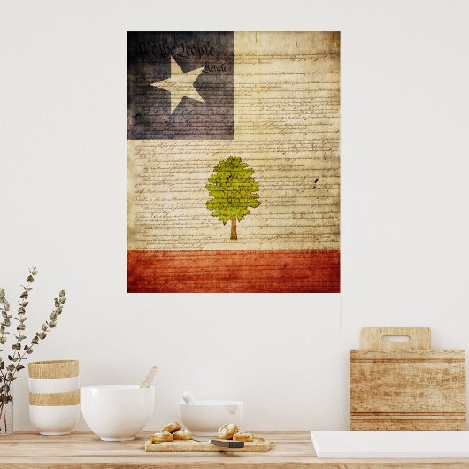 Poster Drapeau du Mississippi 1861 (Cuisine)