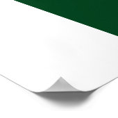 Poster Drapeau du Pakistan (Coin)