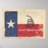 Poster Drapeau du Texas et de Gadsden (Devant)