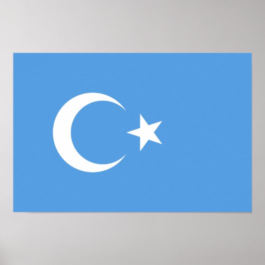 Poster Drapeau du Turkestan oriental Ouyghur (Devant)