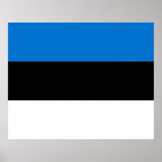 Poster Drapeau estonien (Devant)
