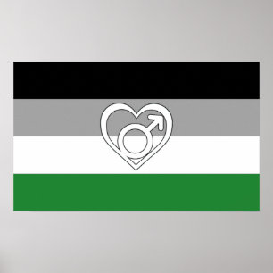 Poster Drapeau et symbole de fierté androphile