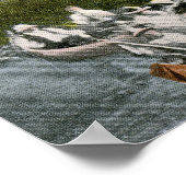 Poster Drapeau floral, Belle Isle Park, Détroit 1915 Vint (Coin)