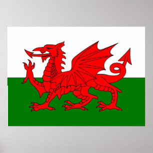 Poster Drapeau gallois dragon rouge gallois