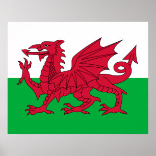 Poster Drapeau gallois (Pays de Galles) (Dragon gallois)