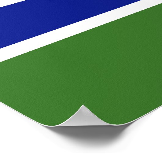 Poster Drapeau Gambie (Coin)