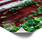 Poster Drapeau Graffiti Stars & Stripes (Coin)