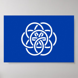 Poster Drapeau international de la planète Terre