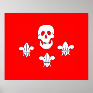 POSTER DRAPEAU JOLLY ROGER CRÂNE ET TROIS LILAS