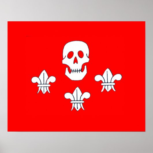 POSTER DRAPEAU JOLLY ROGER CRÂNE ET TROIS LILAS (Devant)